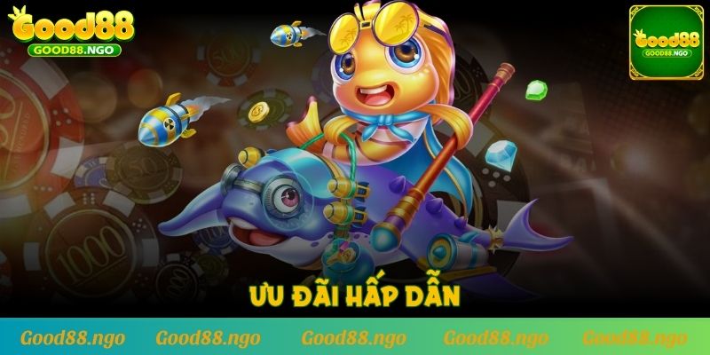 Ưu đãi hấp dẫn