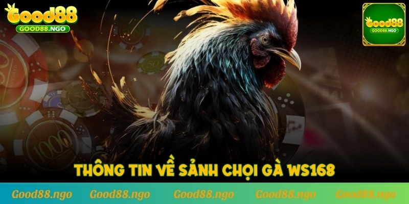 Thông tin về sảnh chọi gà WS168