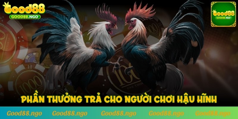 Phần thưởng trả cho người chơi hậu hĩnh