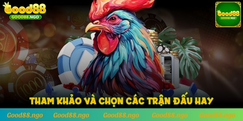 Tham khảo và chọn các trận đấu hay